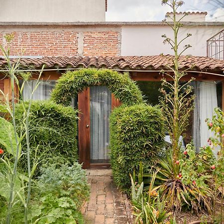 Sereno Hotel San Cristóbal de Las Casas Kültér fotó